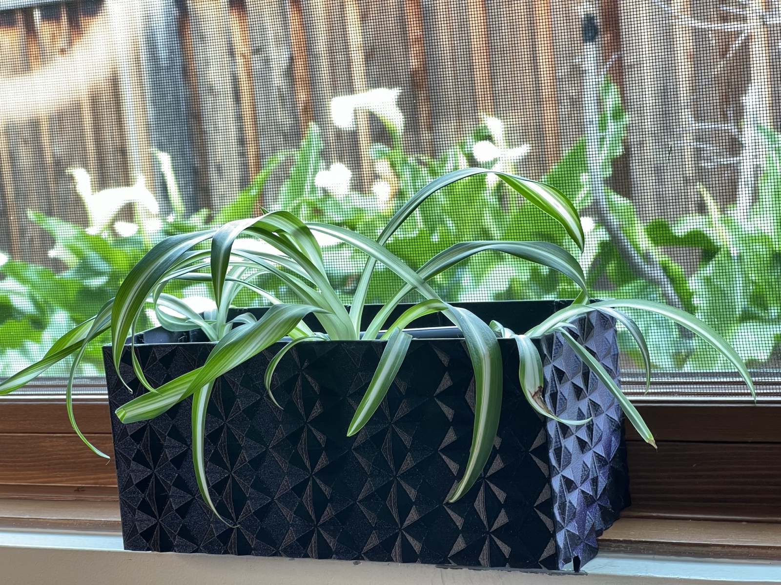 Smarter Window planter box sitting on a window sill